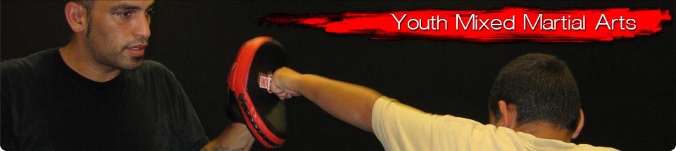 Click here to Learn More about Our Youth Mixed Martial Arts